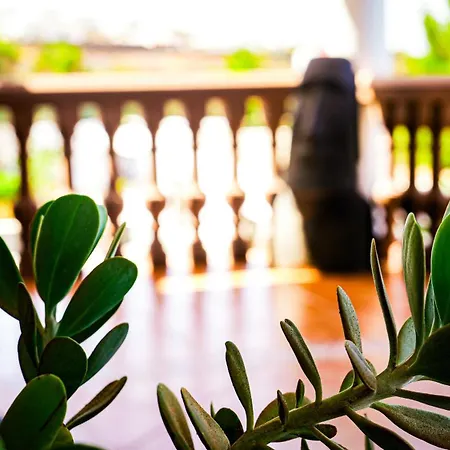 Guest house Azul Fuerteventura