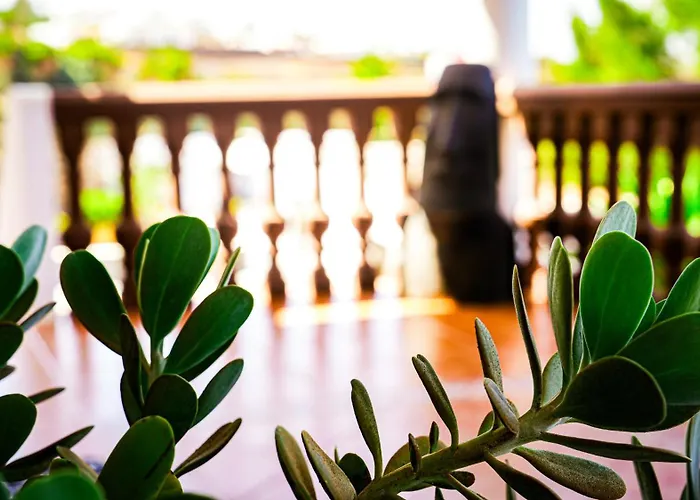 Guest house Azul Fuerteventura