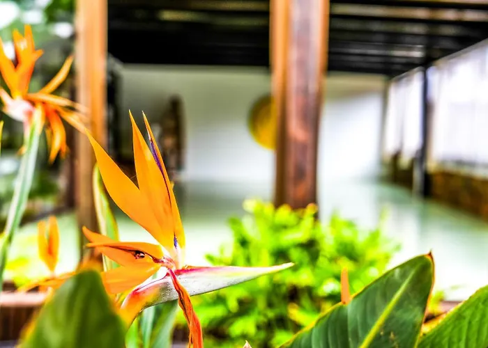 Azul Fuerteventura Guest house