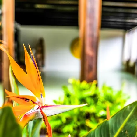 Azul Fuerteventura ゲストハウス