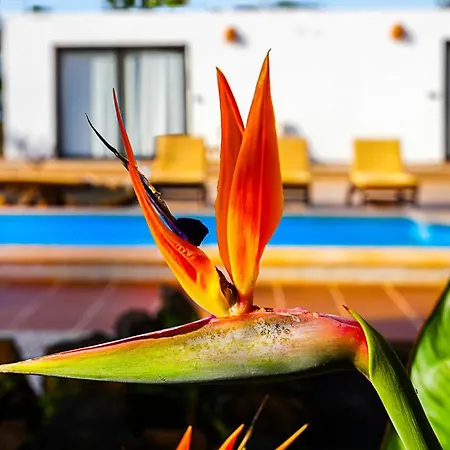 Azul Fuerteventura Guest house