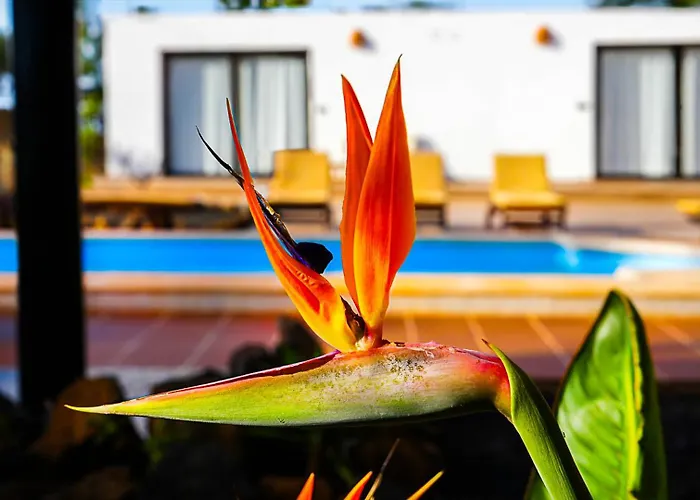 Azul Fuerteventura ゲストハウス